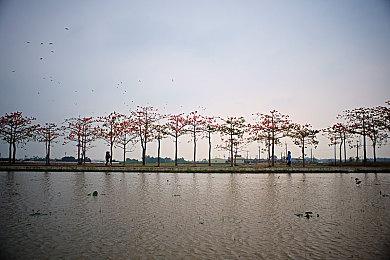 世嘉公布新作RPG先导预告 特设官网同时上线